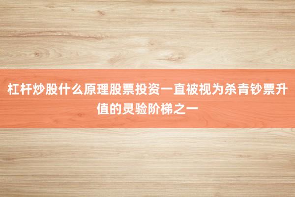 杠杆炒股什么原理股票投资一直被视为杀青钞票升值的灵验阶梯之一