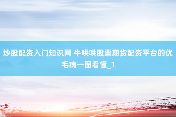 炒股配资入门知识网 牛哄哄股票期货配资平台的优毛病一图看懂_1