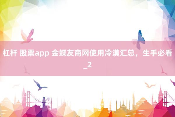 杠杆 股票app 金蝶友商网使用冷漠汇总，生手必看_2